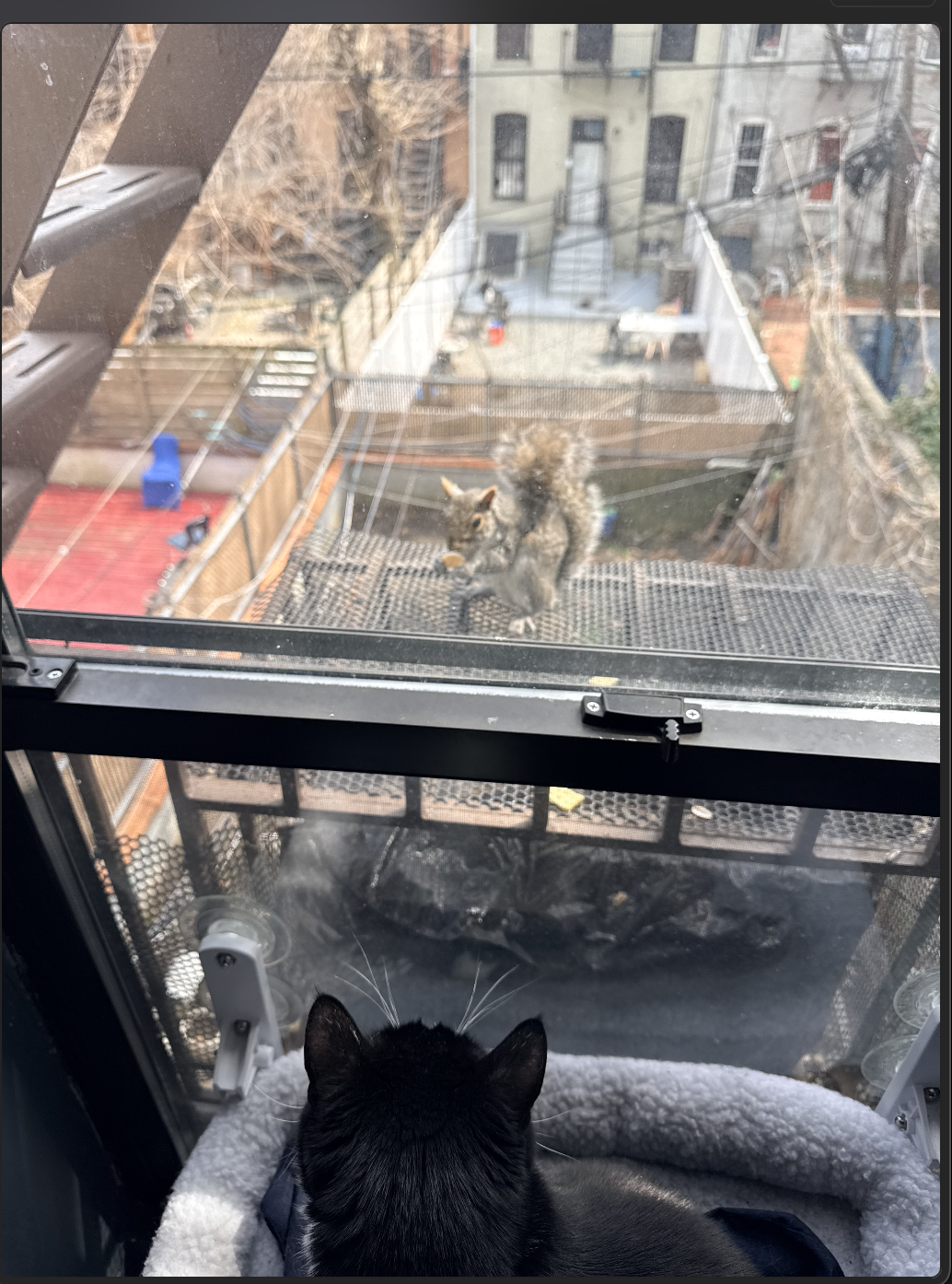 pictureofleoandfriend